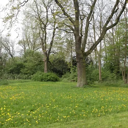 아파트 Gutshaus Bartelshagen (Rostock)