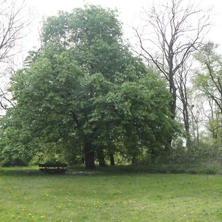 Gutshaus *